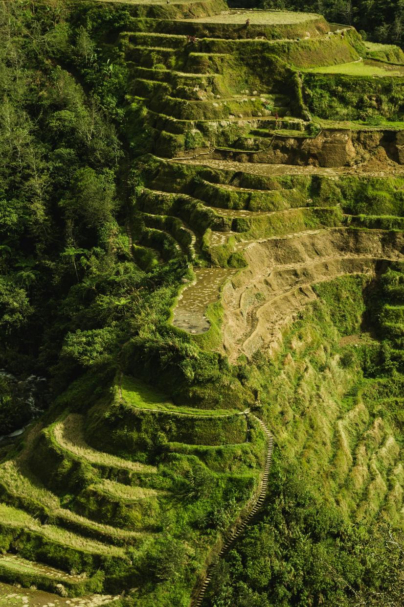 Révolutionner l’agriculture moderne : le rôle des drones agricoles en 2024
